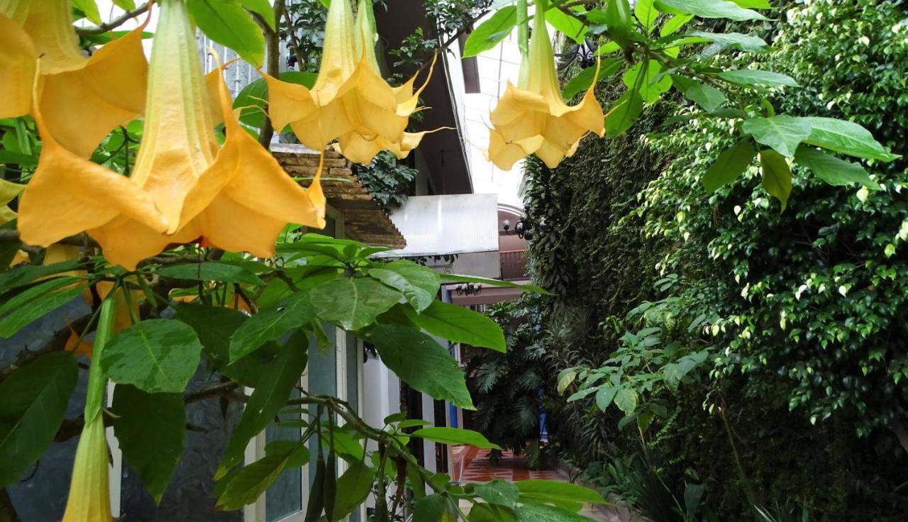 Hotel Jardines Del Carmen ซานกริสโตบัล เด ลาสกาซาส ภายนอก รูปภาพ